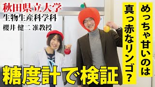 【ROOTS THE MOVIE vol 03】めっちゃ甘いのは真っ赤なリンゴ？｜秋田県立大学 生物生産科学科  櫻井 健二 教授