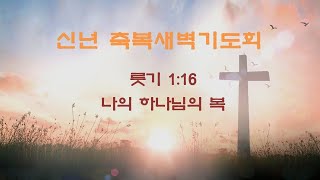 [위례비전교회]  특별새벽기도회 실시간/ 20250108