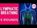 Lymphatic System Breathing Exercise  | TAKE A DEEP BREATH