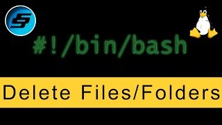 Delete Files/Folders (rm) - Bash Scripting