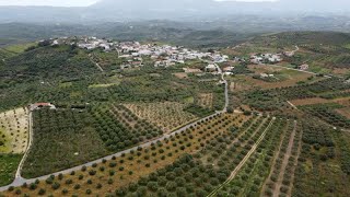 Εγέρασα να σ' αγαπώ ~ Λευκοχώρι (Βουτουφού) 25-4-2021