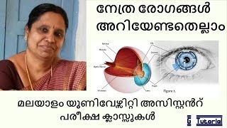 നേത്ര രോഗങ്ങൾ അറിയേണ്ടതെല്ലാം - Eye Diseases explained for University Assistant Exam