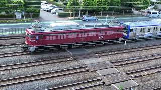 【フリー動画】E235系1000番台のJ-40編成・新津配給列車（EF81-140牽引）