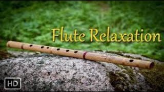 15 min  Relaxing Flute Music: Calming Music, Flute Instrumental, Relaxation Music