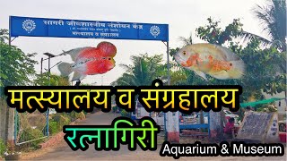 रत्नागिरी मत्स्यालय व संग्रहालय | Aquarium \u0026 Museum Ratnagiri