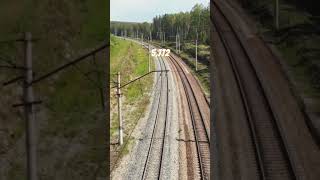 World's Longest Rail Line: Uncovering the Trans-Siberian Railway