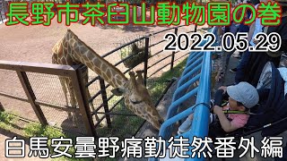 長野市茶臼山動物園の巻