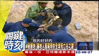 澳洲死亡心臟艾爾魔湖揭秘？！ 2011年 第1081集 2200 關鍵時刻