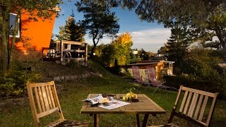 Ferienhaus mit Hund am Tollensesee - Mecklenburgische Seenplatte