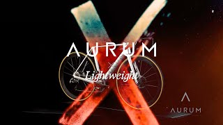 The AURUM x Lightweight Collaboration | AURUM Bikes