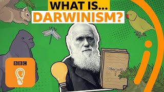 Charles Darwin's theory of evolution explained | A-Z of ISMs Episode 4 - BBC Ideas