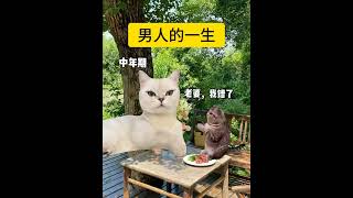 男人的一生！|||#搞笑[话题]# #情侣[话题]# #猫meme[话题]# #小剧场[话题]# #沙雕[话题]##搬運