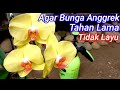 Agar Bunga Anggrek Tidak Cepat Layu / Gugur