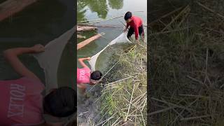 এইটুকু নেটজাল দিয়ে কি মাছ পেলাম 🙂🐟(136) fishing village life | bengali village fishing