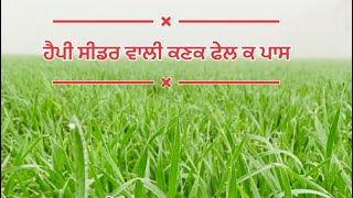 3086 ਤੇ 187 ਤੇ ਕਿਹੜੀਆ ਗੱਲਾ ਦਾ ਧਿਆਨ ਰੱਖਣਾ ਚਾਹੀਦਾ 🌾