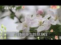 結婚陪嫁20萬，婆婆逼我交出補貼家用，我說一話，她愣住無言以對 柒妹有話說