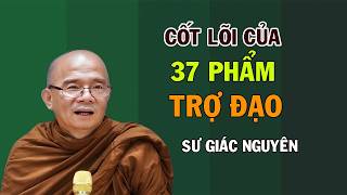Cốt Lõi Của 37 Phẩm Trợ Đạo  | Sư Giác Nguyên | Sư Toại Khanh