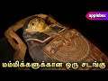 மம்மிக்களை அடக்கம் செய்யும் முறை | Historical Stories in Tamil | APPLEBOX Sabaril