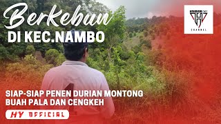 BERKEBUN DI NAMBO SERU-SERUAN BARENG | Siap-siap Panen Durian Montong Buah Pala Dan Cengkeh