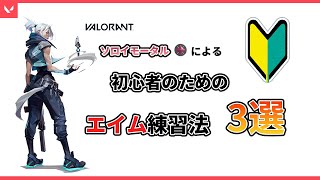 【VALORANT】初心者必見！絶対にやるべきエイム練習3選