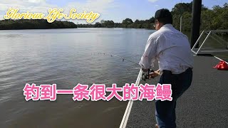 钓到一条很大的海鳗～Glorious Life Society /生活杂记041