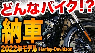 【ハーレーダビッドソン大本命】これが欲しかった！ちょーカッコいい極太タイヤと凄まじい排気量とエンジンパワー！