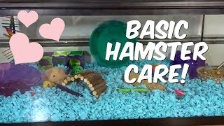 BASIC HAMSTER CARE!