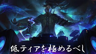 【TFT】初心者の初心者による初心者のためのTFT講座 101講目 先ずは低ティアチャンピオンから覚えよう！【セット10】