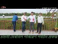 চাচনী মেৰবিল নাহৰকটীয়া ডিব্ৰুগড় অসম