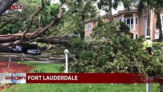 Storms bring down trees in Broward and Palm Beach counties