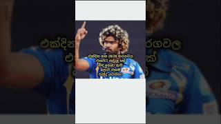 ශ්‍රී ලංකාවේ යෝකර් රජු #cricket #lasithmalinga