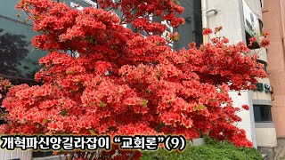 교회론(9)