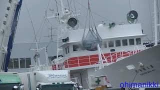 10月7日　第3福積丸は鮪の水揚げ(No. 3 Fukuseki Maru unloads tuna)