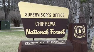 Northwoods Adventure: Chippewa National Forest Prepares for Busy Season