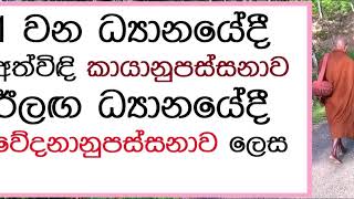 MDM4737 සේක - 1 වන ධ්‍යානයේදී අත්විඳි කායානුපස්සනාව ඊලඟ ධ්‍යානයේදී වේදනානුපස්සනාව ලෙස (BAK1656)