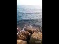 pesca en denia y suelta de golfar🎣🐟 pesca denia vacaciones