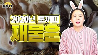 (인천용한점집) 2020년 토끼띠의 재물운!! 손재주많은 토끼띠!! 과연 재물운은 어떨까!!??[점점tv]