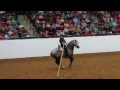 carlos salguero and delirio at 2012 ialha nationals for haras dos cavaleiros