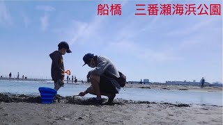 潮干狩り　船橋三番瀬海浜公園　関東　千葉　浜遊び　船橋　あさり　潮干狩りスポット　穴場