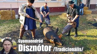 Tradícionális Disznótor / KOCA UNBOXING