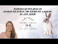 ✨Feng Shui, Bazi  y Energías marzo mes del Conejo de Fuego