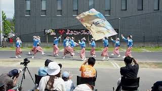 舞龍人（2回目）・よさこいフェスタin新川市まつり（常盤通り会場）