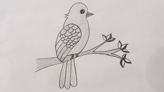 how to draw a cute bird easy!! drawing art pencil bird!! pencil drawing!! beautiful bird drawing