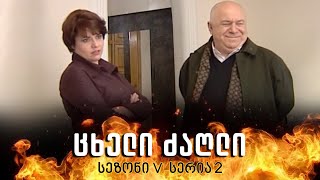 ცხელი ძაღლი | სეზონი 5 სერია 2