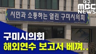 [대구MBC뉴스] 구미시의회 해외 연수 보고서 베끼기 파문