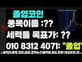 보라코인 주가조작 금감원 압수수색 진행🔴 초대형 악재 터짐🔴