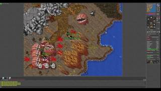 Top 1 magic level in Tibia - Veneficus Verum (deleted)