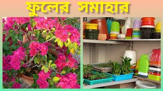 শীতকালীন ফুলের চারা কেনা এবং বাজারে টুকিটাকি কেনাকাটা সাথে বোগনবলিয়ার সৌন্দর্য!!!