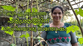 കുറച്ചുനാളത്തെ പരിശ്രമത്തിന് ഒരു സന്തോഷം# village farming # village life 🥰#miyafarmkitchan  vlog