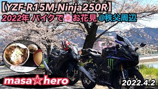 【YZFｰR15M】2022年バイクでお花見＠秩父周辺 #yzfr15m #桜 #お花見ツーリング